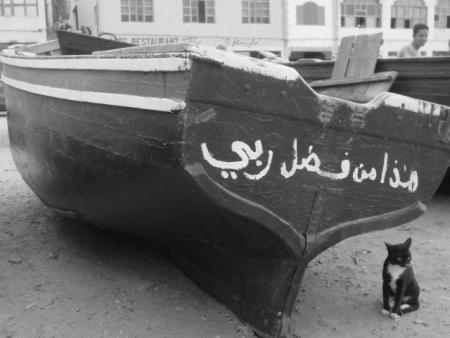 floca lol draduction  bat